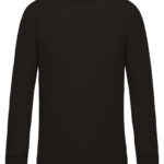 Men's organic cotton crew neck raglan sleeve sweatshirt