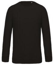 Men's organic cotton crew neck raglan sleeve sweatshirt