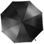 Automatic umbrella
