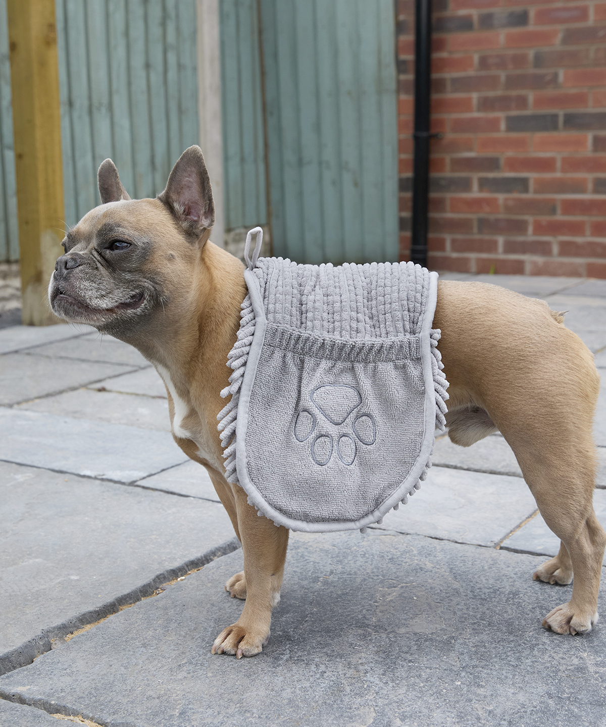 HL236_LS00_2025.jpg Noodle pet towel - Image 1