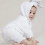 Rabbit all-in-one
