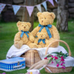 Bracken bear