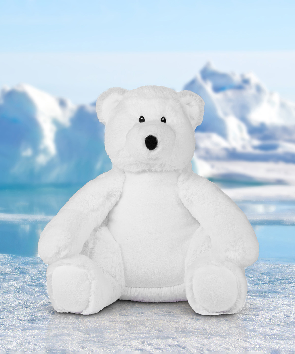 Pressure,Ridge,And,Melt,Water,At,The,Geographic,North,Pole Printme eco polar bear - Image 1