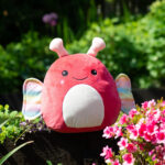 Squidgy's by Mumbles