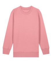 Kids Mini Changer 2.0 iconic crew neck sweatshirt (STSK181) - Image 14