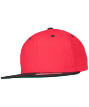 The classic snapback 2-tone  (6089MT) - Image 20